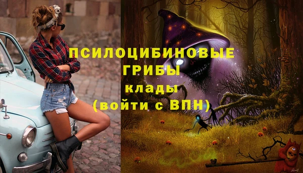 дмт Балабаново